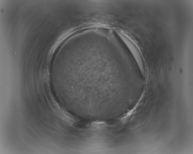 X0000067860055200604131326