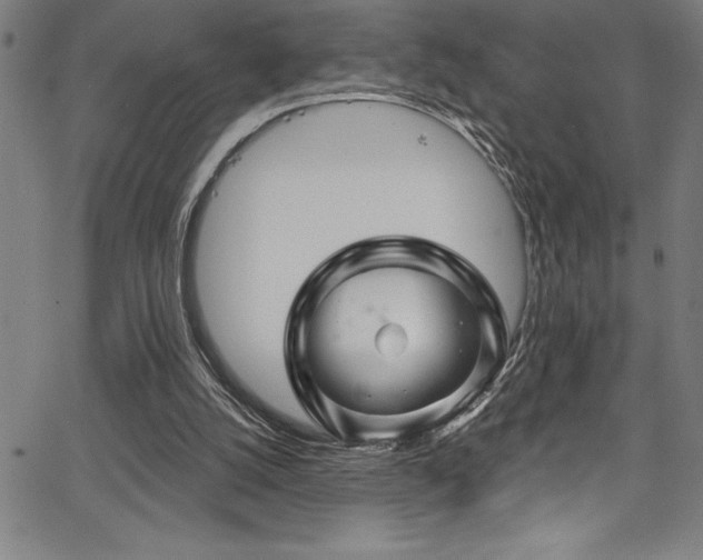 X0000067860056200604131326