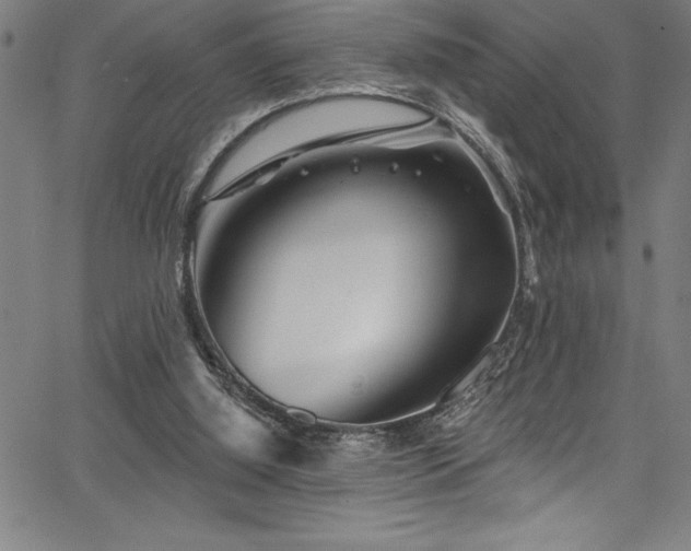 X0000067860060200604131326