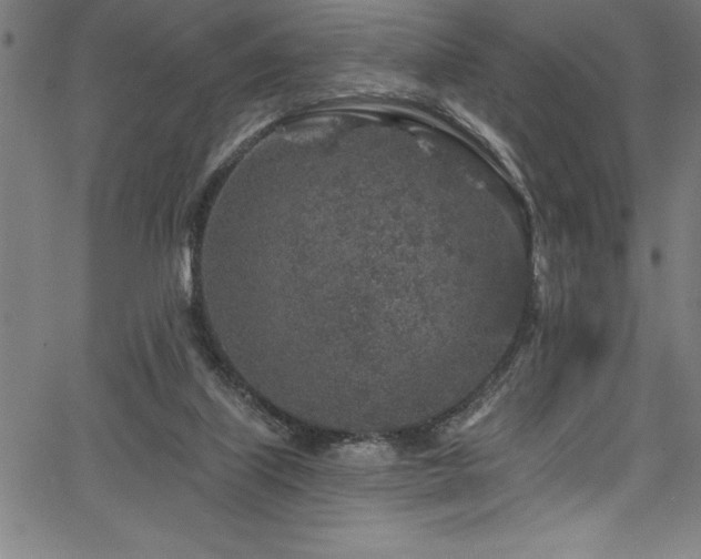 X0000067860067200604131326