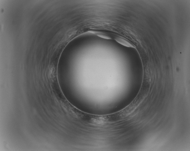 X0000067860079200604131327