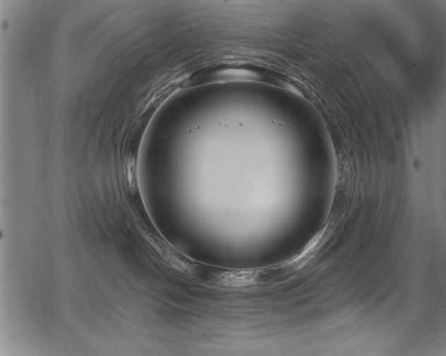 X0000067860094200604131327