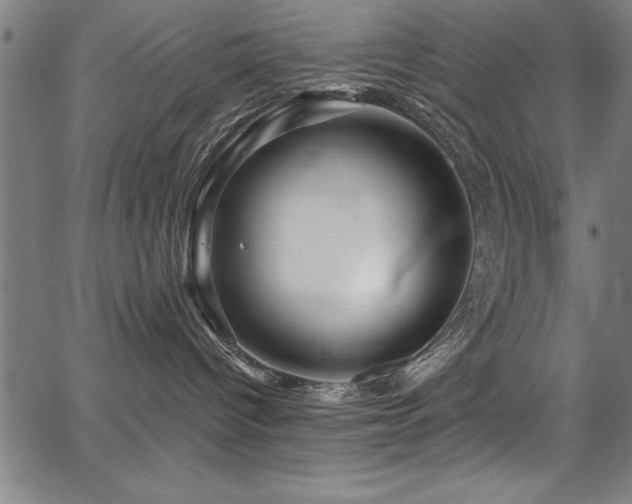 X0000067860096200604131327