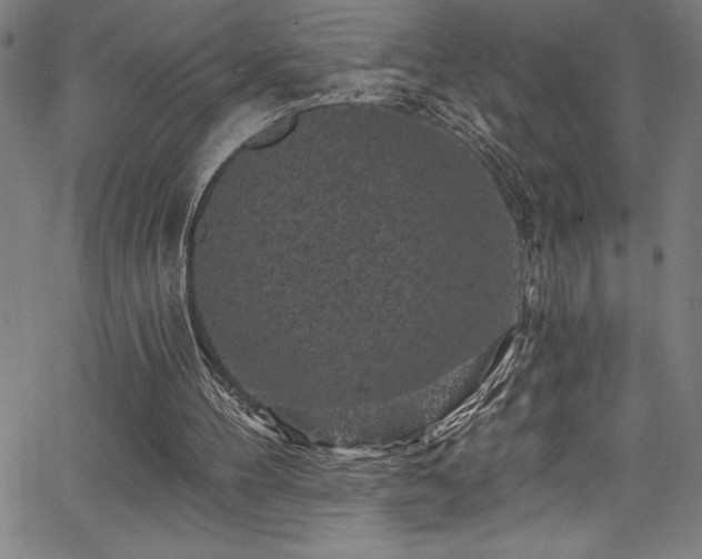X0000067860100200604131326