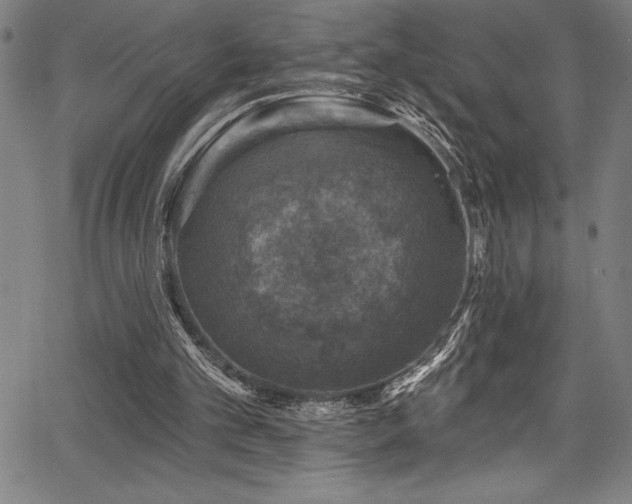 X0000067860101200604131326