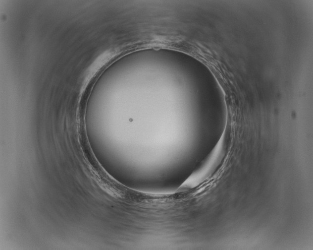 X0000067860102200604131326