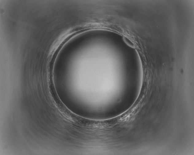 X0000067860103200604131326