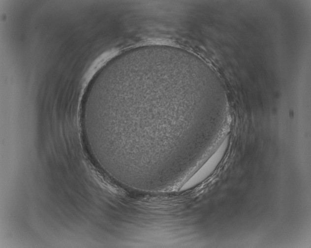 X0000067860104200604131326
