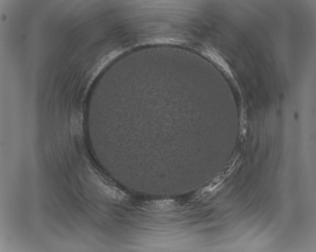 X0000067860108200604131326