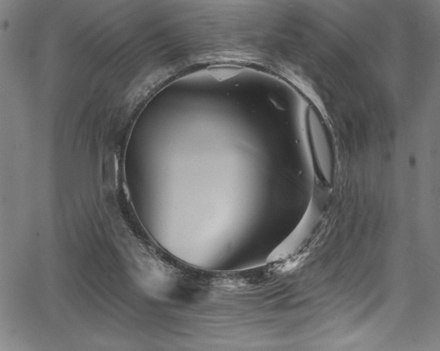 X0000067860109200604131326