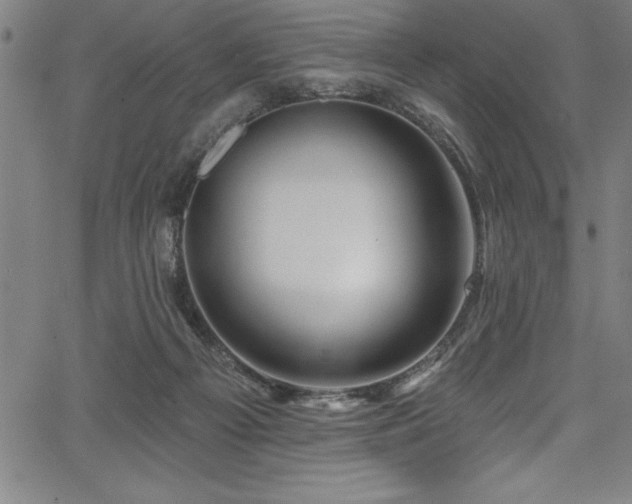 X0000067860121200604131326