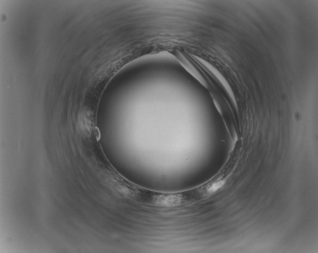 X0000067860135200604131326