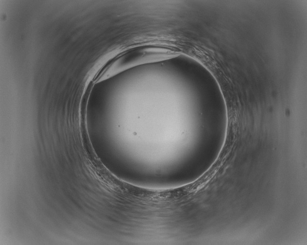 X0000067860148200604131325