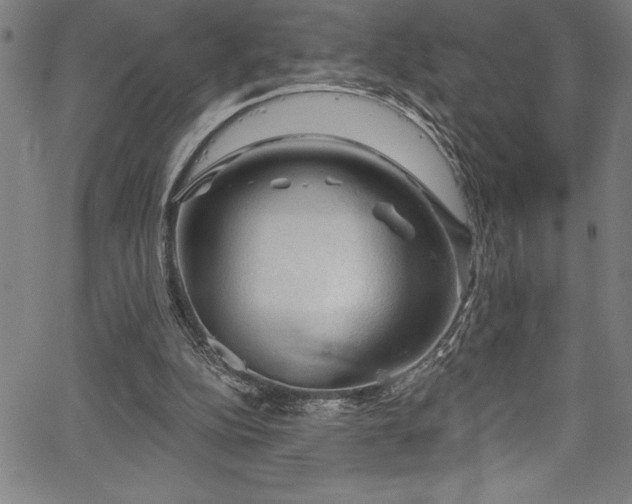 X0000067860152200604131325