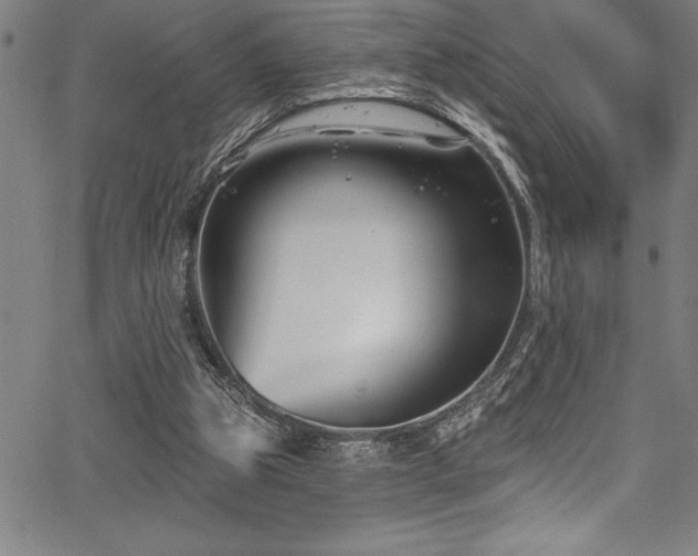 X0000067860153200604131325