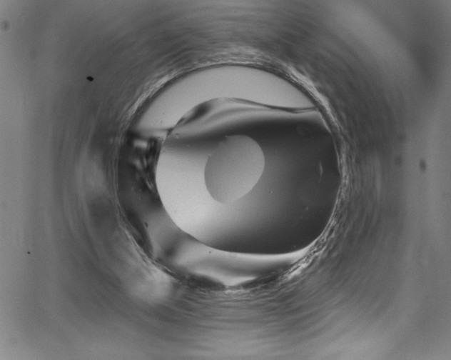 X0000067860154200604131325