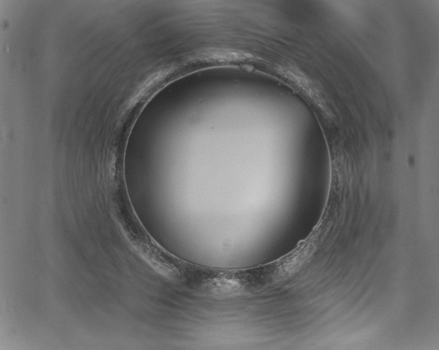 X0000067860159200604131325