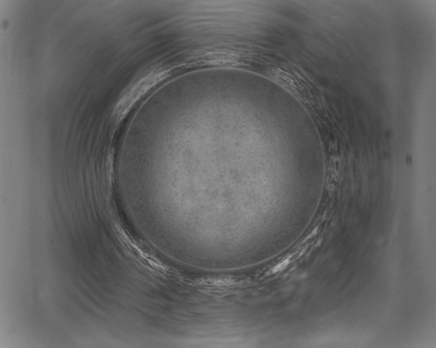 X0000067860194200604131325