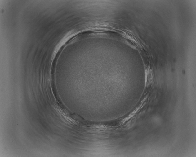 X0000067860195200604131325