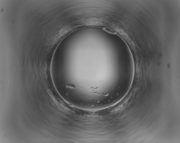 X0000067860201200604131324