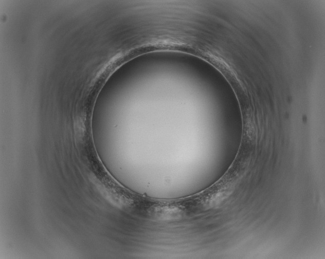 X0000067860208200604131324