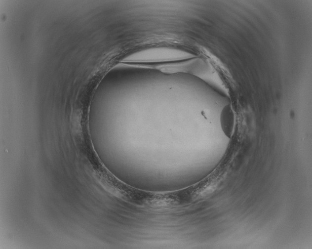 X0000067860209200604131324