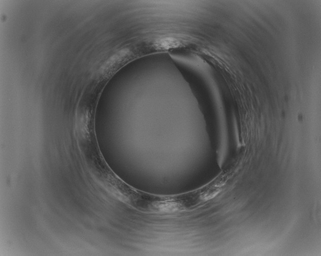 X0000067860219200604131324