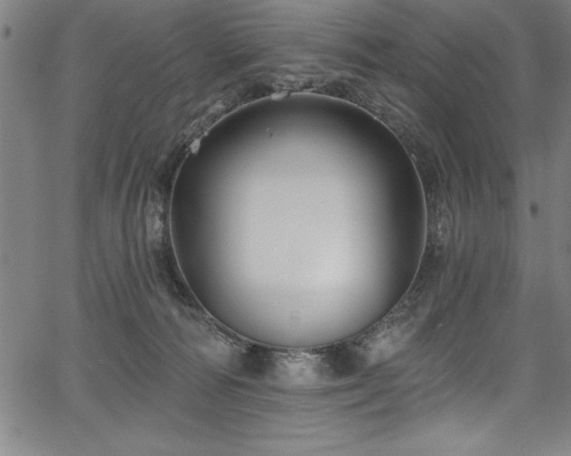 X0000067860226200604131324