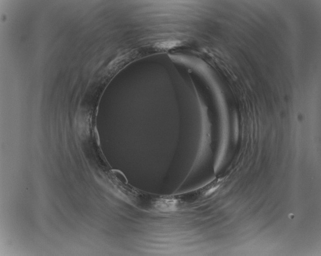 X0000067860227200604131324