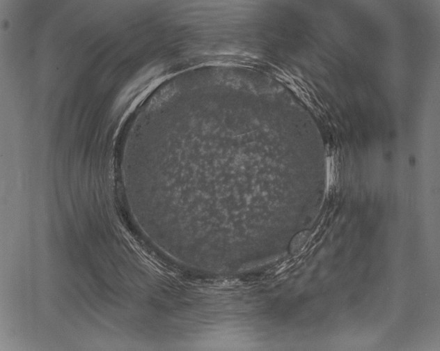 X0000067860243200604131323