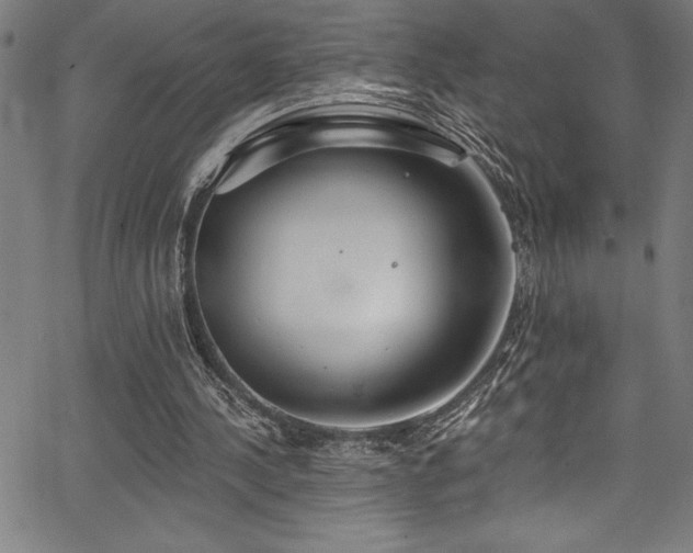 X0000067860244200604131323