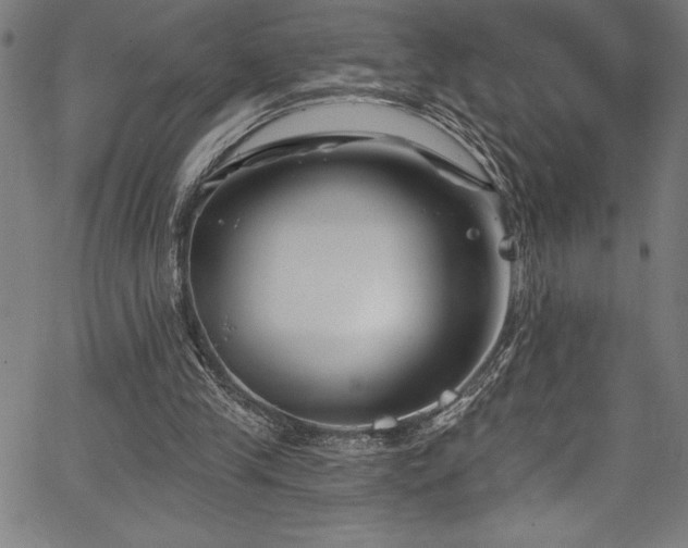 X0000067860245200604131323