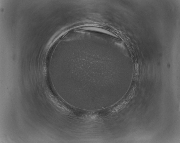 X0000067860247200604131323
