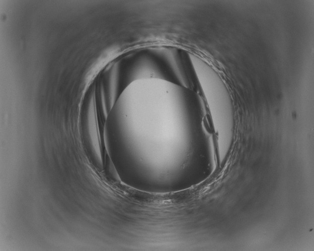 X0000067860248200604131323