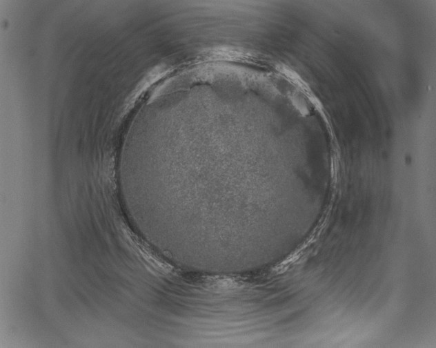 X0000067860249200604131323