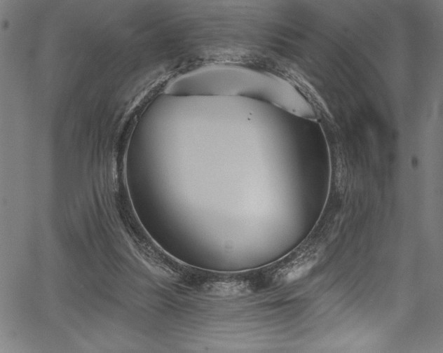 X0000067860251200604131323