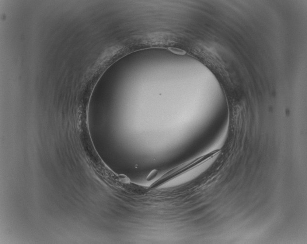 X0000067860255200604131323