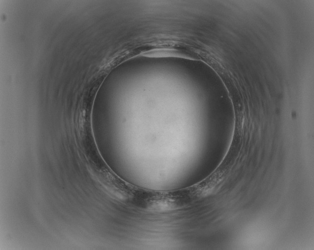 X0000067860263200604131323