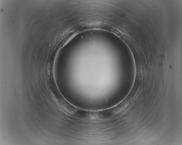 X0000067860264200604131323