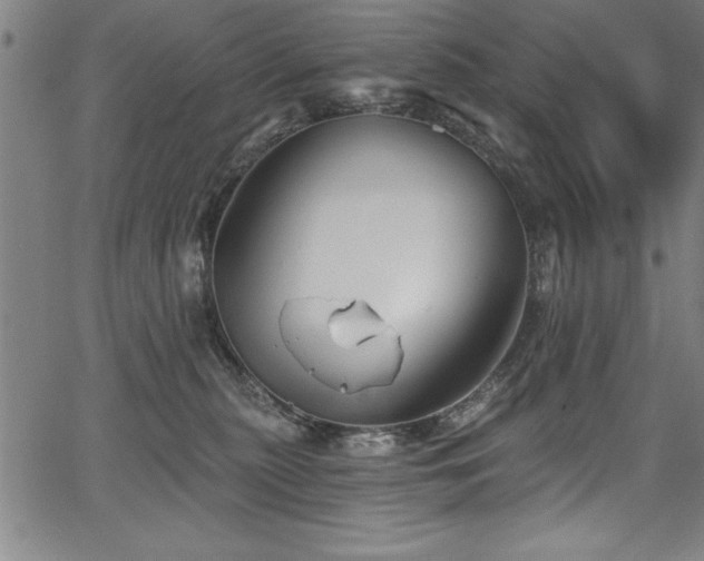 X0000067860279200604131324