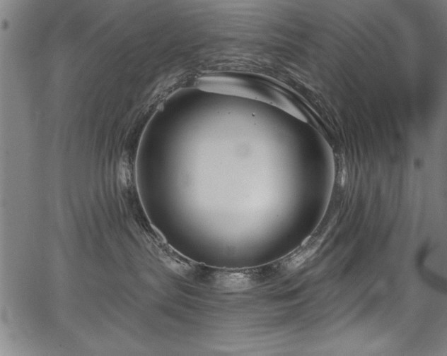 X0000067860287200604131324