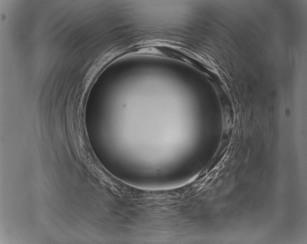 X0000067860289200604131323