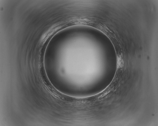 X0000067860291200604131323