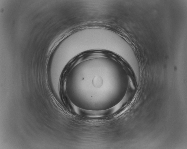 X0000067860293200604131323