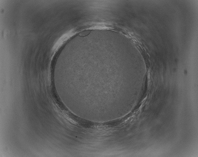 X0000067860296200604131323
