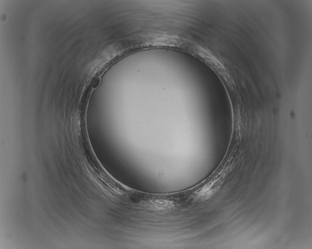 X0000067860298200604131323