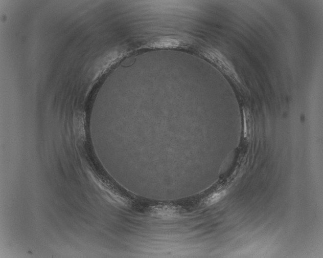 X0000067860300200604131323