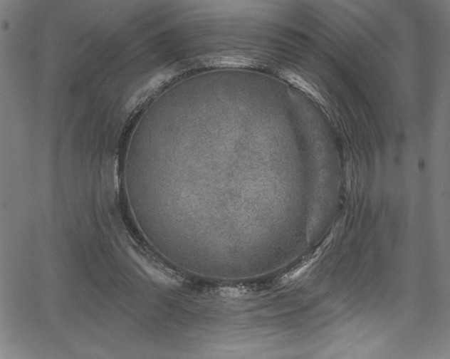 X0000067860302200604131323