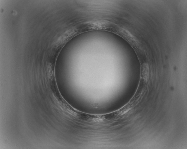 X0000067860318200604131323