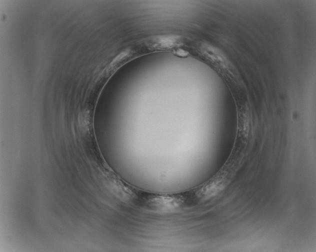 X0000067860326200604131322
